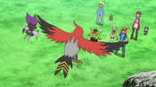 Ash sends Noibat and Talonflame to search for the Pokémon