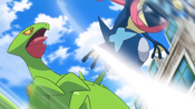 Sceptile is able to dodge Greninja's Aerial Ace