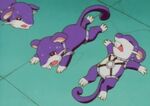 Rattata is one of A.J.'s Pokémon that was seen training at his gym. it was later used to battle one of Ash's Pokémon.