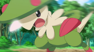 Mach Punch being used by a wild Breloom.
