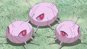 Goh's Cascoon.