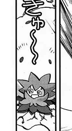 Gordie sent Eldegoss to battle Henry Sword in a Gym Battle, and Dynamaxed it.