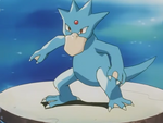 Trinity used Golduck in the finals against Feraligatr, but lost.