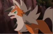 Ash Lycanroc