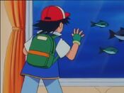 Ash sees the ship is under water