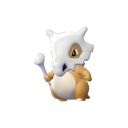 Image Via Pokémon Wiki - Pokemon Bone - Free Transparent PNG