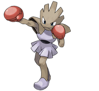 107Hitmonchan