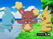 Buneary separates Pikachu and Phione