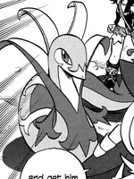 Amanda is a Pokemon that once belonged to N. After Gigi decided to travel with N, Amanda came to the aid of White. In a battle with a wild Deerling, she helped White capture it and became one of her Team Members. It is currently with White on the Battle Subway. It was after this that she was given the nickname of Amanda.