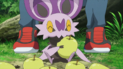 Noibat eating a berry