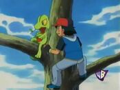 Ash tries to speak to Treecko