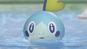 Sobble trailer main