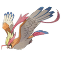 Mega Pidgeot