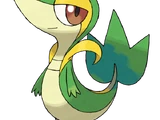 Snivy