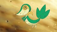 Ash's Snivy unable to battle.
