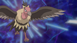 Mandibuzz first had a battle against Ash's Tepig, if Katharine and Mandibuzz won they would have a trade for Ash's Scraggy. But at the end she lost.