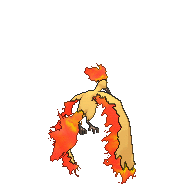 Moltres (PJ068), Pokémon Wiki