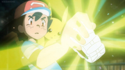 Ash Receiving Z-Ring