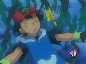 Ash sees a Pikachu lure