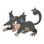 Alolan Rattata