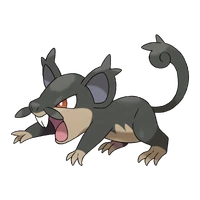 #019 Rattata dark/normal
