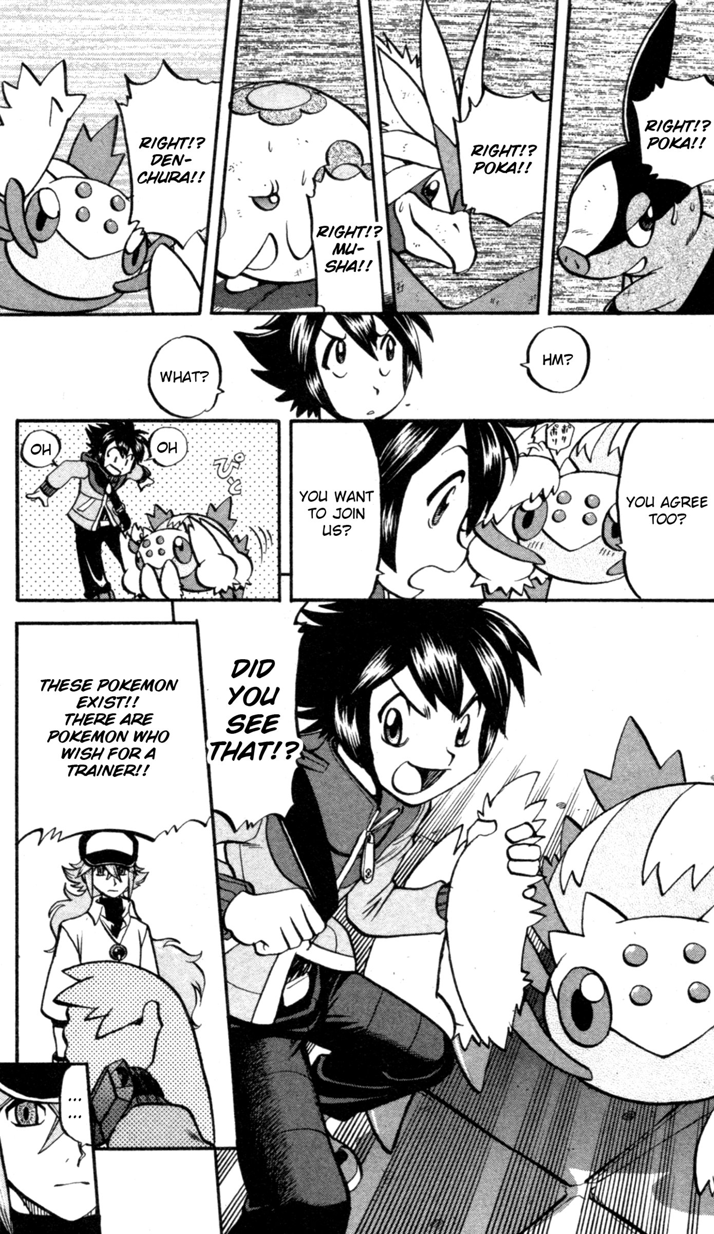 Pokémon Black and White, Vol. 3