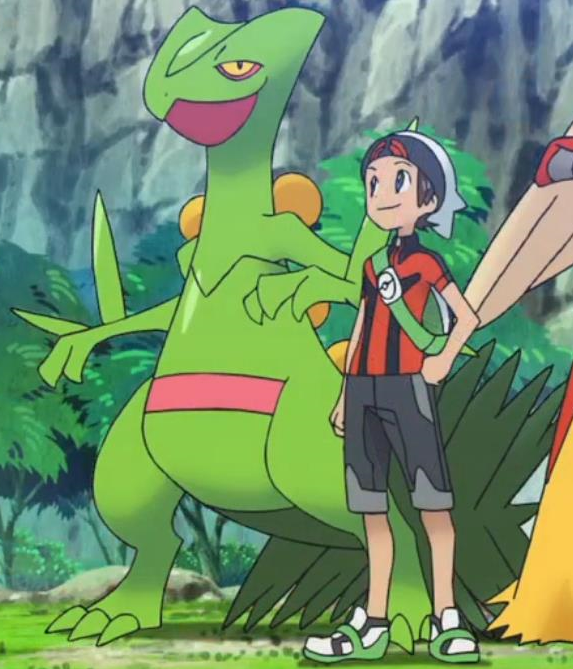 Brendan S Sceptile Trailer Pokemon Wiki Fandom