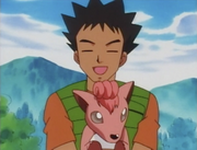 Brock and Vulpix