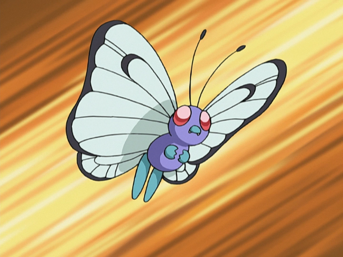 Jeremy S Butterfree Pokemon Wiki Fandom