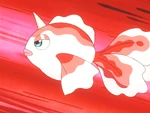 Misty's Goldeen (Season 2 - present)