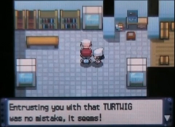 Walkthrough:Pokémon Platinum/Section 2, Pokémon Wiki