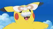 A Pokémon came on Pikachu's nose