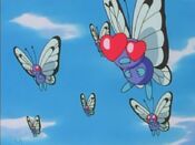 Ash's Butterfree in love