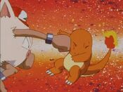 Primeape punches Charmander