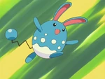 Before actually fighting Ash, Azumarill with Jackson's Meganium teamed up to fight Ash's Bulbasaur and Squirtle. As they continue to fight, Harrison prevents this with his Miltank. During the league battle against Ash, Azumarill is used against Ash's Pikachu and loses after a long battle.