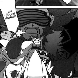 Pokemon Adventures Volume 4 Xy Pokemon Wiki Fandom Pokemon Adventures Volume 4 Xy Pokemon Wiki Fandom