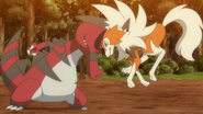 Tackle being used by Ash's Lycanroc.