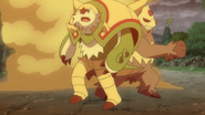 Chespin as a Chesnaught in Pikachu's dream