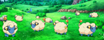 Tokuzō owns a herd of Mareep, using their coat for various products.