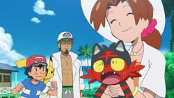 Pokémon UK on X: Alola! Welcome home! ☀️🏝 Ash and Goh travel