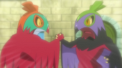 Hawlucha join together