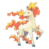 0078Rapidash