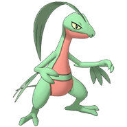 0253Grovyle Masters.png (37 KB)