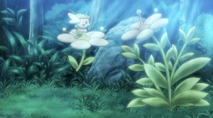 Goh's White Flower Flabébé.