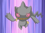 Harley obtained Banette shortly before the Battle Frontier. Banette was a powerful Pokemon and skilled in Contest appeals, even taking its own Thunder attack and laughing instead of crying out in pain in order to impress the judges of the Hoenn Grand Festival.