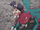 Iris' Druddigon (Generations)