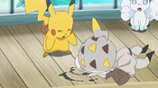 Togedemaru passes through Mimikins