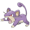 Rattata