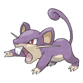 0019Rattata