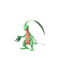 0253Grovyle GO.png (23 KB)